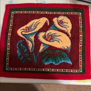 Zantedeschia aethiopica.  Alcatraz flowers